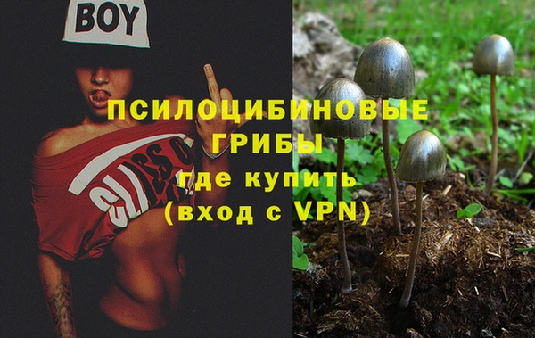 молекула духа Михайловка