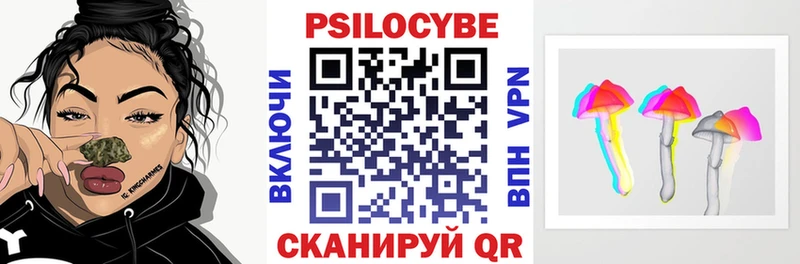 omg ССЫЛКА  Плёс  Галлюциногенные грибы Psilocybe  наркотики 